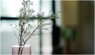 スマートハイムプレイス中舘Ⅱ（筑西市）