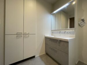 スマートハイムプレイス千波ⅤNo3_洗面室