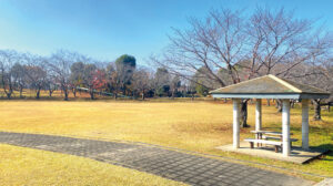 ヒタチ絹の台桜公園