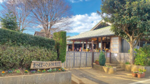 まつぼっくり保育園