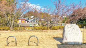 平沢つつじ公園