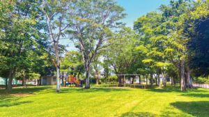 東石川第4公園