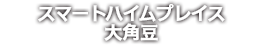 スマートハイムプレイス大角豆